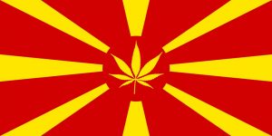 Macedoński olej cannabisowy, haszysz.info