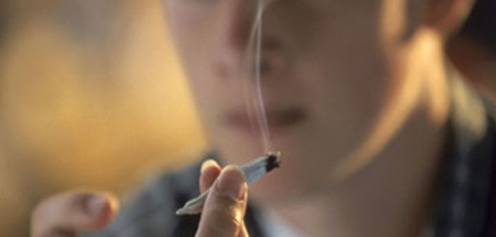 Nastolatki Wybierają Marihuanę, haszysz.info