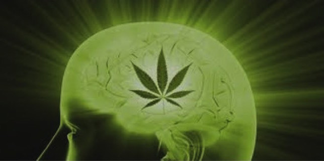 marihuana-alzheimer-medycyna-usa-8356278