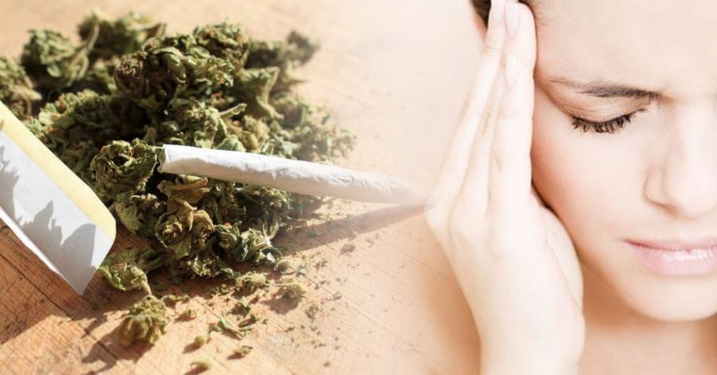 Cannabis Pomaga Przy Bólach Migrenowych, haszysz.info